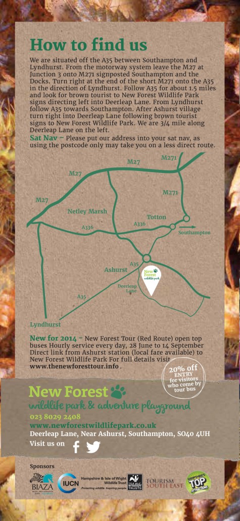 http://placestogoleaflets.co.uk/wp-content/uploads/2016/03/New-Forest-Wildlife-Park-2-475x1030.jpg