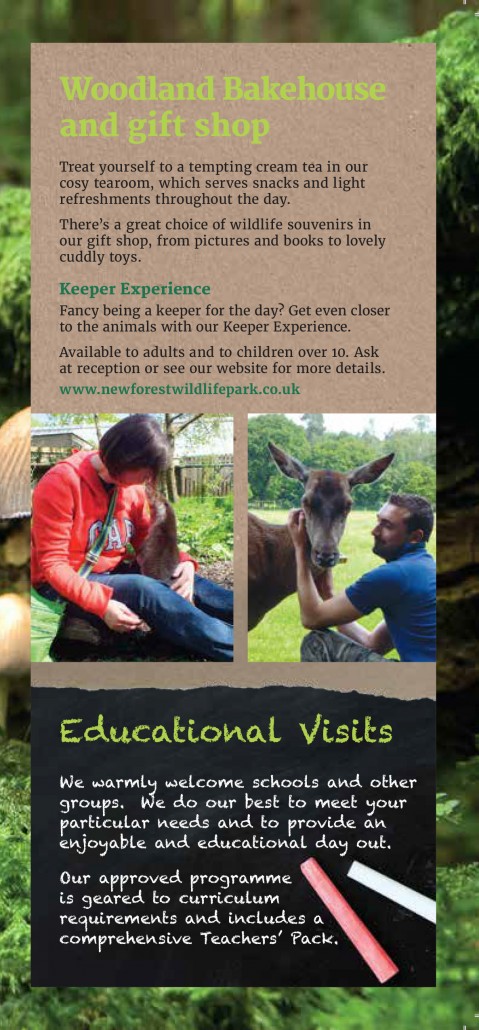 http://placestogoleaflets.co.uk/wp-content/uploads/2016/03/New-Forest-Wildlife-Park-6-479x1030.jpg