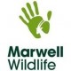 Marwell Wildlife Zoo